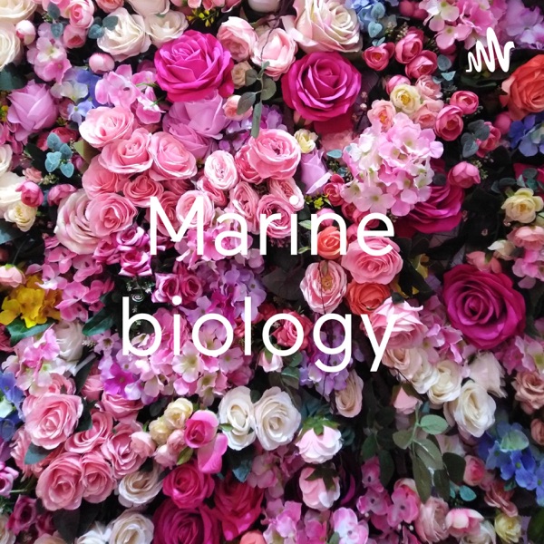 Marine biology 
