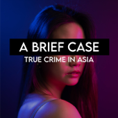 A Brief Case - abriefcase