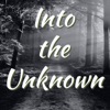 Into the Unknown artwork