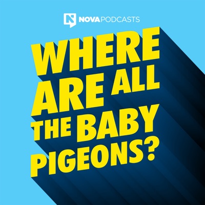 Where Are All The Baby Pigeons? Where Are All The Baby Pigeons?