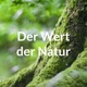 Q-Tutorium: Naturethik 