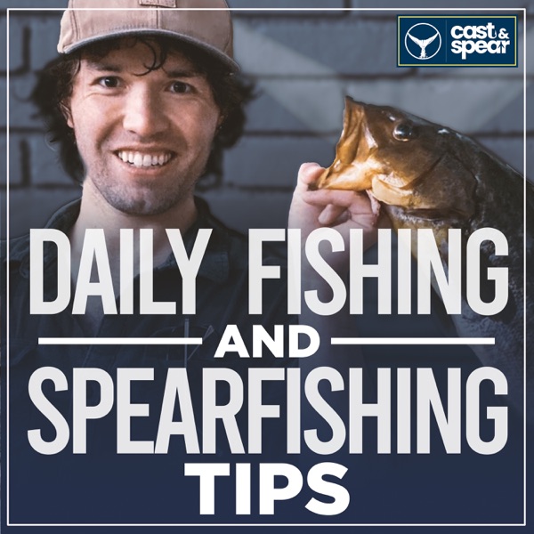 Cast and Spear: Weekly Fishing Tips and Advice