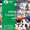 WSET Level 3 Understanding wines: Explaining style and quality - Daniel Gomez