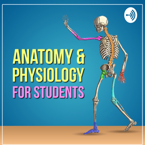 Anatomy & Physiology For Students