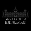 Ankara Palas Buluşmaları