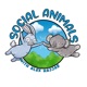 Social Animals