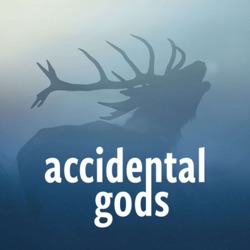 Accidental Gods 