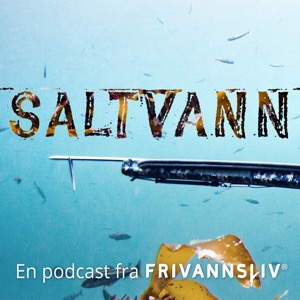 SALTVANN