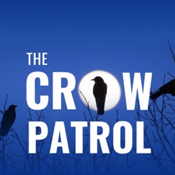 Winter Crow Roosts with Prof. Anne Clark
