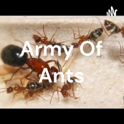 Army Of Ants