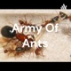 Army Of Ants