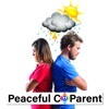 Peaceful Co-Parent artwork