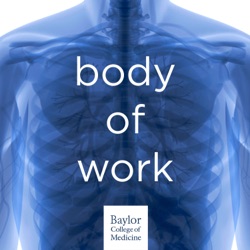 Introducing Body of Work