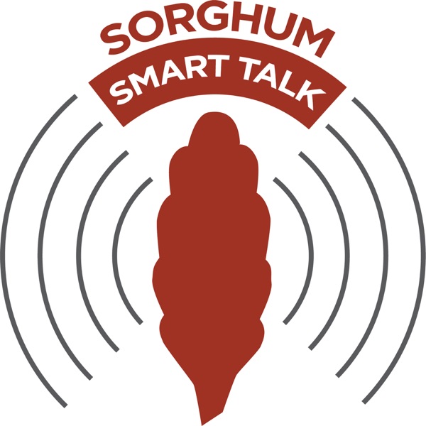 Sorghum Smart Talk