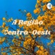 A Região Centro-Oeste: cerrado