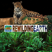 Rewilding Earth Podcast - The Rewilding Institute