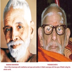 Story of Adi Sankaracharya in brief