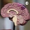 Neuropsicología y Educación