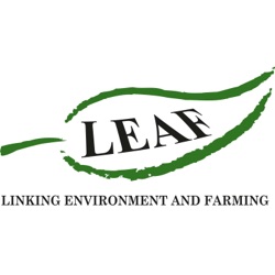 LEAF Open Farm Sunday Ep.6 | Rebecca Dawes & Caroline Millar