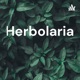 Herbolaria Mexicana