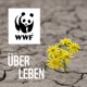 Ganz unten