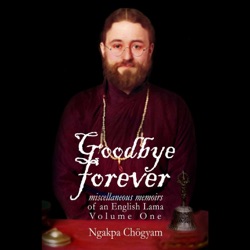 Goodbye Forever Volume 1: Chapter 17 Part 3