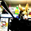 Your Video Store Shelf - Gregory Conley
