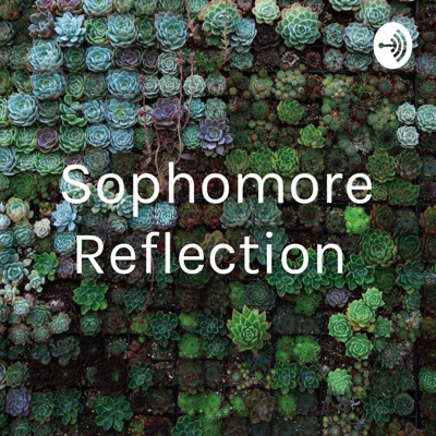 Sophomore Reflection