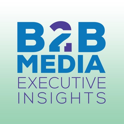 B2B Media Executive Insights