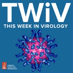 TWiV 1099: Volker Lohmann, as persistent as his viruses