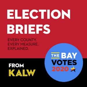 Bay Area Election Briefs