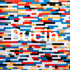 Bucin - Saeful