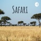 Safari