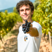 Italian Wines Podcast - Stefano Quaglierini