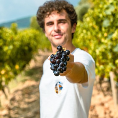 Italian Wines Podcast:Stefano Quaglierini