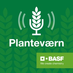 Planteværn E33: Bedriftsbesøg på Ødemark Gods med driftsleder Lasse Frost Niebuhr.