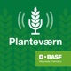 Planteværn E52: Prioritering af opgaverne i marken efter en våd vinter og et forår der lader vente på sig, med Jakob Skodborg Jensen.