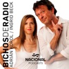 Bichos de radio