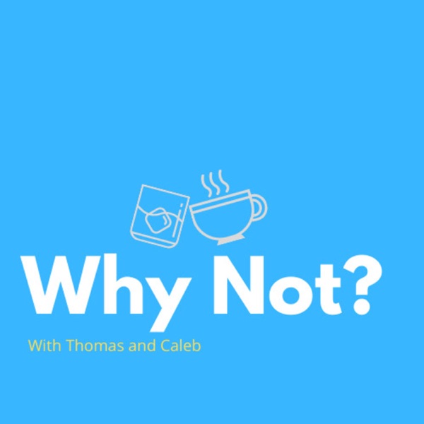 Why Not? A Podcast. Artwork