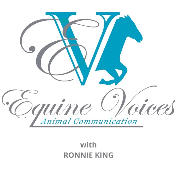 Equine Voices Podcast Artwork