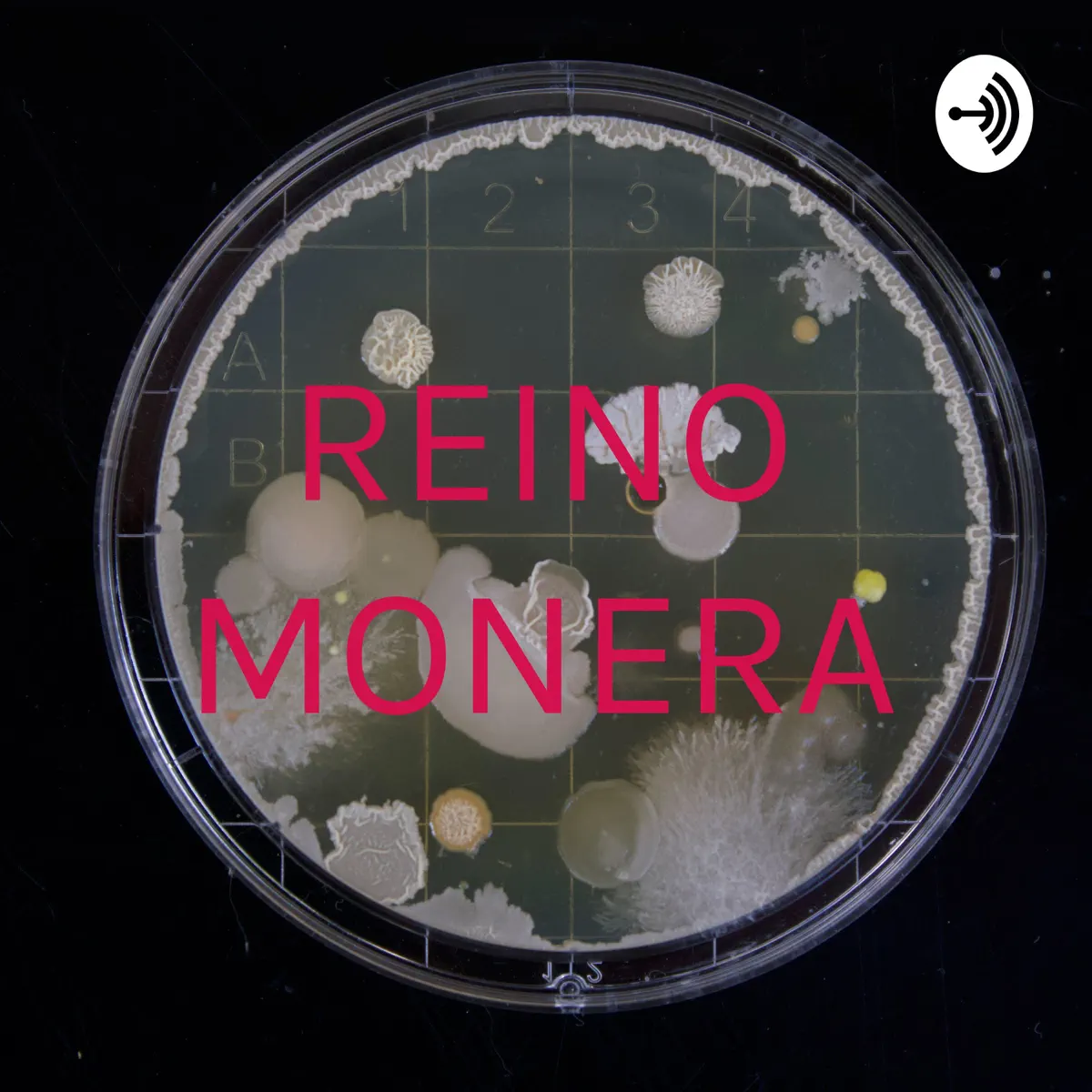 BIOLOGÍA–REINO MONERA – Apple Podcasts