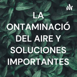 LA CONTAMINACIÓN DEL AIRE Y SOLUCIONES IMPORTANTES