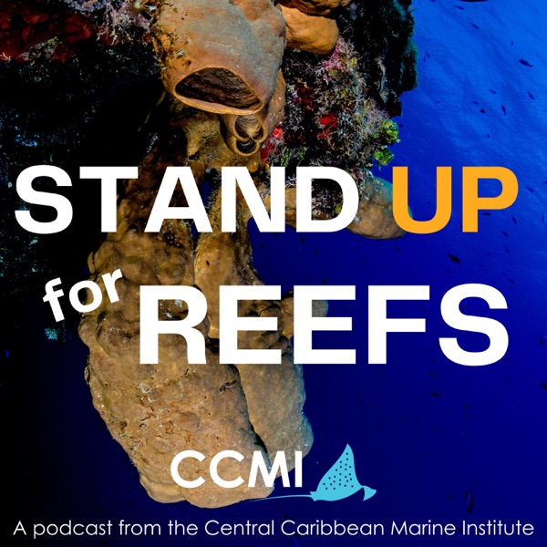 Stand Up for Reefs