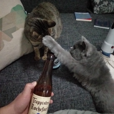 张六毛的碎碎念