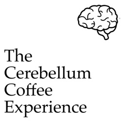 The Cerebellum Coffee Experience