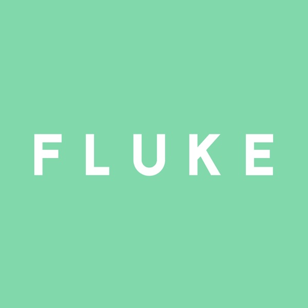 FLUKE beauty Artwork