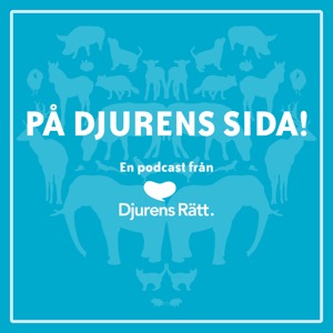 På djurens sida!