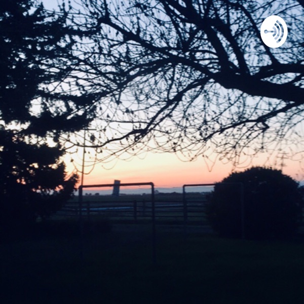 Simple vibes 