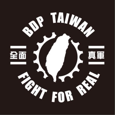 全面真軍 全面真軍