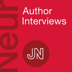 High-Efficacy Therapy Discontinuation vs Continuation in Patients 50 Years and Older With Nonactive MS